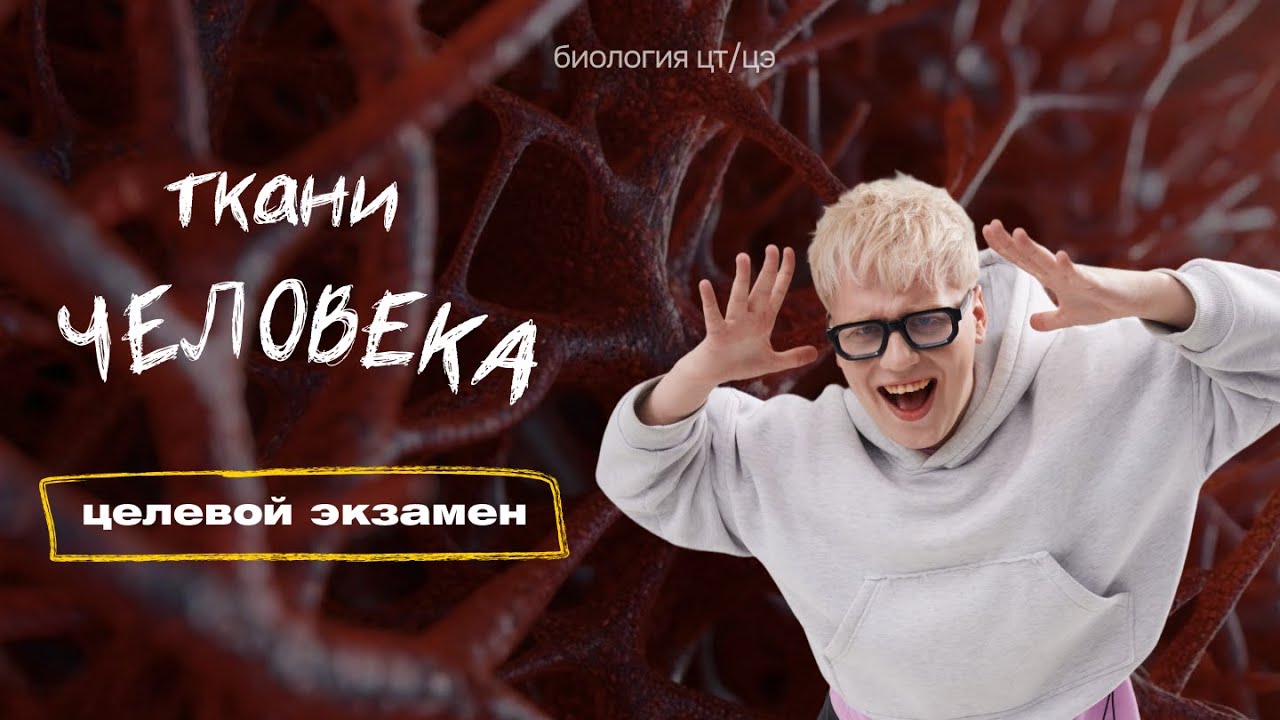 ТКАНИ ЧЕЛОВЕКА | Целевой экзамен смотреть онлайн