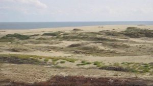 Калининградская обл. Куршская коса
