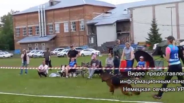 ОТКРЫТЫЙ КОБЕЛИ / КЧК УФА 6 июня`26 З.Данильченко Моно немецких овчарок