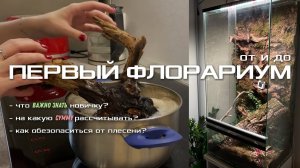 Мой первый флорариум | Что важно знать новичку?