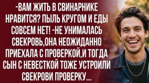 Истории из жизни| Мам,а чего это ты вдруг приехала с проверкой? |Аудио рассказы|Жизненные истории