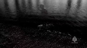 Безопасность на воде