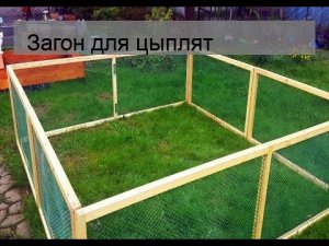 Загон для цыплят