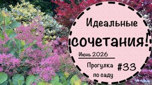 Идеальные сочетания растений для вашего участка | Прогулка по саду в Германии ☘️30 минут релакса☘️