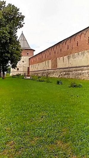 Пожарский Дмитрий Михайлович в крепости Зарайск