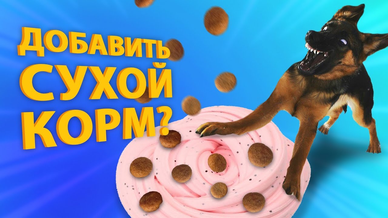 СОБАКА УПРАВЛЯЕТ моим СЛАЙМОМ / Лизун из случайных ингредиентов смотреть онлайн