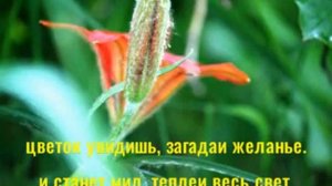 Сардана