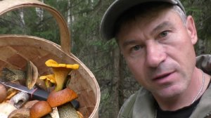 ГРИБЫ, ЛЕС И ЗМЕЙ: ТИХАЯ ОХОТА И КРАСИВЫЕ ГРИБЫ 🍄