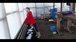 Наша зимняя теплица. Состояние сегодня. Какие планы на ближайшее будущее.