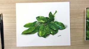 Рисование реалистичных листьев акварелью
