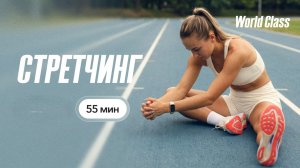 СТРЕТЧИНГ с Эльвирой Сахибгареевой | 30 июня 2026 | Онлайн-тренировки World Class