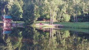 Утренний обзор с нижнего водоёма. Клёвое место, Лосиный остров.