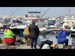 Рыбалка на Чёрном море. Кефаль #всочиумаши