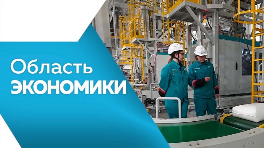 Область экономики