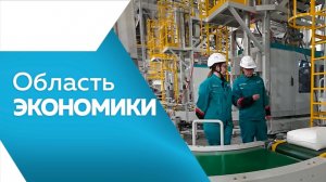 Область экономики №191