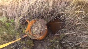 Металлокоп! Огромнейшая находка, ЭТО РЕКОРД
