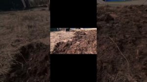 Мини экскаватор Kobelco карчевание маленьких деревьев и небольшая планировка