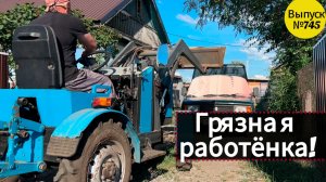 Зачем мы собираем навоз по кюветам. И как подвязываем помидоры. Жизнь в Омской деревне.