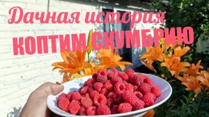 ДАЧНАЯ ИСТОРИЯ! КОПТИМ СКУМБРИЮ! УРОЖАЙ ПОШЕЛ! КАК ОТМЕЧАЛИ ЭКЗАМЕНЫ В СССР!