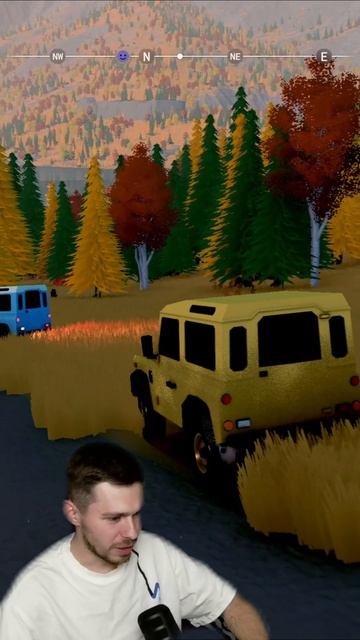 УПАЛ В РЕКУ