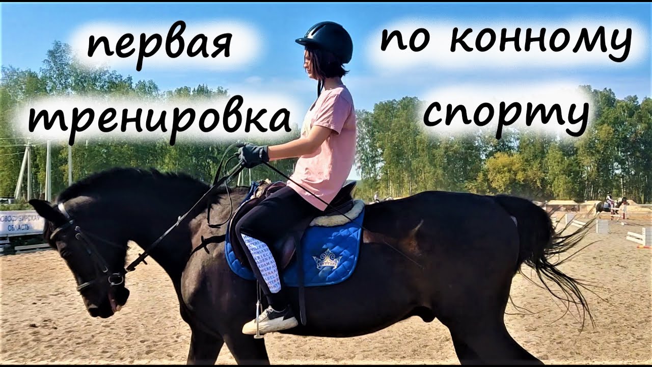 Конный спорт. Первая тренировка. кск. Лошади / ksk 2022, 2023 #konovlog #лошади смотреть онлайн
