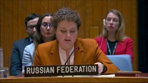 Выступление и.о. Постоянного представителя А.М.Евстигнеевой на заседании СБ ООН по Украине