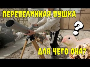 Простая ВЕЯЛКА для зерна своими руками. Очистка зерна