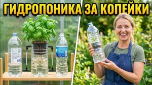 Гидропоника за копейки! Делаю крутую установку из обычных бутылок.