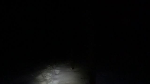Кормлю птиц в НОЧНОМ лесу с налобником NITECORE NU-17 смотреть онлайн