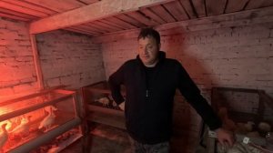 мороз в мае побил ВСЁ/переселяем индюков  в клетки/ индюкам 3 недели переводим на свой комбикорм.