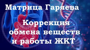 Часть 1 Коррекция Обмена Веществ и Работы Пищеварительного Тракта 🎧Матрица Гаряева💠Исцеление Звуком