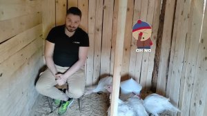 Сарай для индюшек за пару дней своими руками.