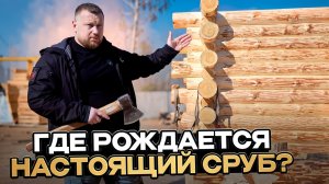 КАК РУБЯТ СРУБ? Все этапы производства от бревна до дома 🪵🏡