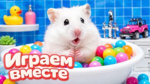 ХОМЯК ВЫБИРАЕТСЯ ИЗ СЕКРЕТНОЙ ХОМЯЧЕЙ ТЮРЬМЫ ! Забавные животные ! Супер лабиринт для хомяка №37