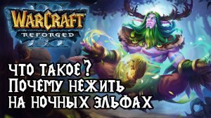 Что такое Почему игрок Нежити на Ночных Эльфах в Warcraft 3 Reforged
