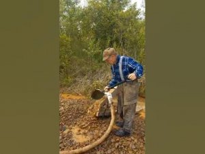 Мини-драга. Оборудование для добычи золота.