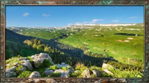 Утро в долине 🌅🌿. Веселое пение птиц и нежный ветер для глубокой концентрации и учебы.