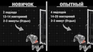 Full body 3 раза в неделю — готовая программа для новичка (фулбоди тренировка)