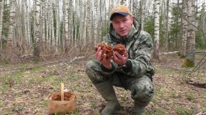 🍄 Нашел ГРИБНОЙ КУСТ! Но лесной домик разрушил мои надежды.. что стало с домиком в лесу? 😱