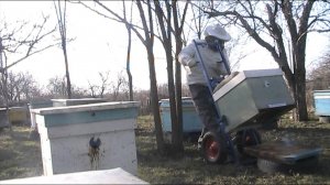 Замена доньев после зимовки с помощю апилифта. Пасека Кийко