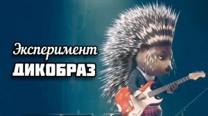 Эксперимент Дикобраз