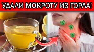 СРЕДСТВО №1 для УСТРАНЕНИЯ СЛИЗИ и МОКРОТЫ в ГОРЛЕ