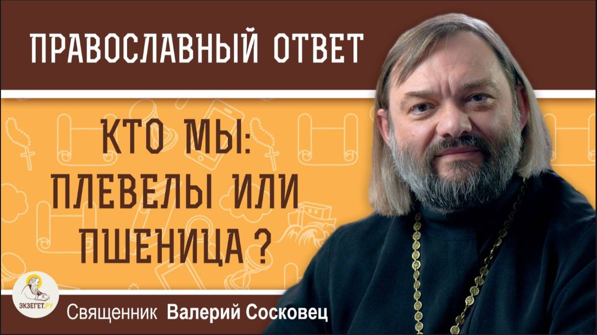 КТО МЫ ПЛЕВЕЛЫ ИЛИ ПШЕНИЦА Священник Валерий Сосковец смотреть онлайн