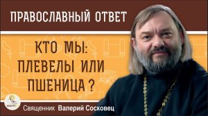 КТО МЫ ПЛЕВЕЛЫ ИЛИ ПШЕНИЦА  Священник Валерий Сосковец