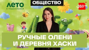 Эдемский сад в Рузе, дог-трекинг и джигитовка. Лето в Подмосковье