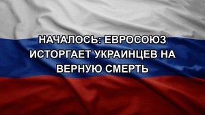 Началось: Евросоюз исторгает украинцев на верную смерть