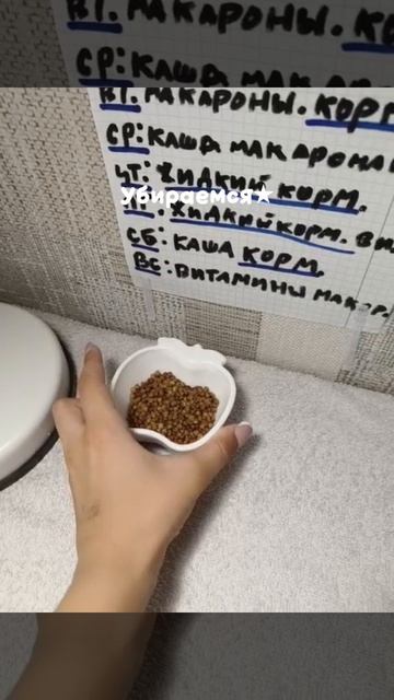 4690.mp4 смотреть онлайн