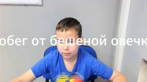 побег от бешеной овечки