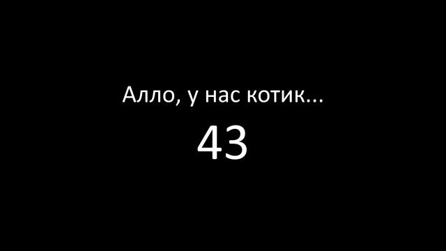 Алло, у нас котик - 43 смотреть онлайн