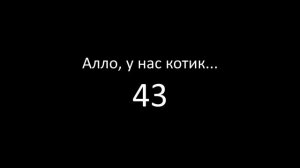 Алло, у нас котик - 43